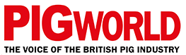 Pig World