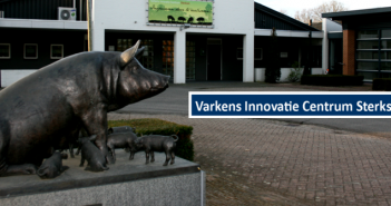 Dutch pig research budget is under severe pressure Swine Innovation Centre Sterksel