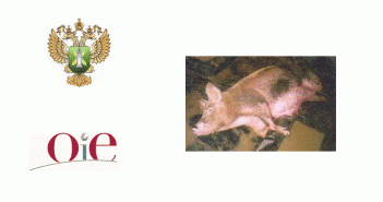 Russian veterinary service issues intensified warning on ASF ASF Russ OIE