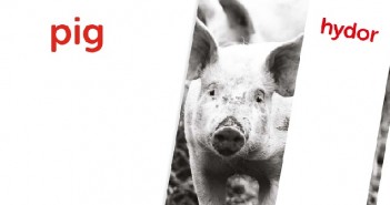 New look unveiled by buildings specialists Hydor Hydor_pig