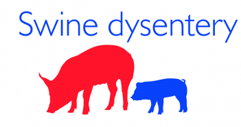 Swine dysentery outbreak confirmed in North Yorkshire Swine Dysentery