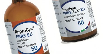 Boehringer Ingelheim launches two new PRRS vaccines 1511-BI_PRRS_launch