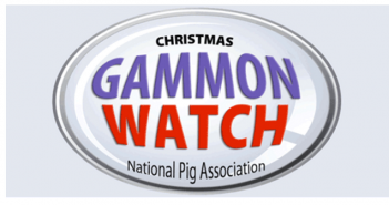 NPA GammonWatch will “name and shame” this Christmas NPA Gammon watch
