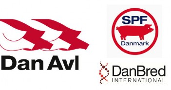 DanAvl targets doubling its trade in pig genetics 1512-DanAvl_Danbred_SPF