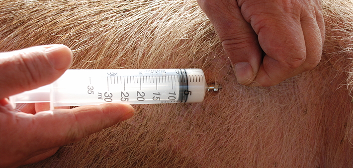 Electronic medicine recording system introduced for the