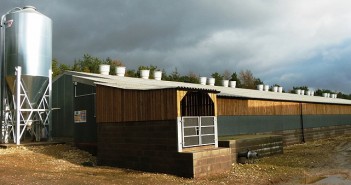 Sireline change leads to greater finishing herd performance and profits GC900_Fimber_building