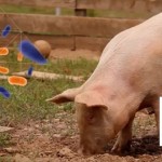 Efsa AMR video Feb 17