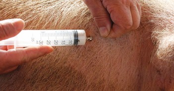 One Health report highlights farming antibiotic reductions 1603-Antibiotic_use