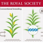 Royal Society GM