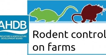 Rodenticide training is still available says AHDB AHDB rodent control June 27 2
