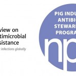 NPA warns that “clunky” planning is delaying antibiotic reduction NPA + AMR review