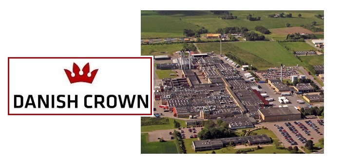 danish crown ringsted job danish crown ringsted job