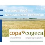 Fefac Copa EC