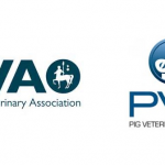 BVA PVS