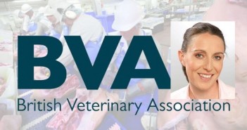 BVA seeks improved health and welfare standards from Brexit solution BVA + President Gudrun Ravetz