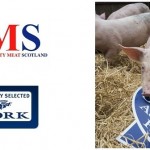 QMS_East_Pitscaff_AR