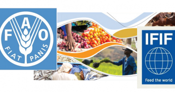 FAO & IFIF seek stronger collaboration on animal feed issues FAO + IFIF