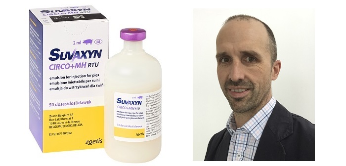 Zoetis vaccine launched to protect against PCV2 and M. hyo | Pig World