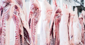 Global pork news gives our producers plenty to cheer carcases