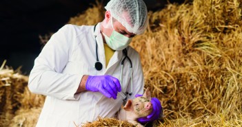 Have your say on antibiotic usage targets shutterstock_451004776