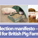 Meet the election candidates backing the British pig industry Screen Shot 2017-05-24 at 10.09.37