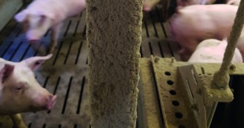 Research leaves disease in the dust Ionised Dust web