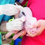 shutterstock_476771407