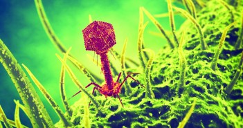 A breakthrough to defuse the antibiotic time bomb? Bacteriophage virus 3d illustration (1024x768)