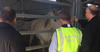 65 arrests as horsemeat crime group ‘dismantled’ horsemeat arrests
