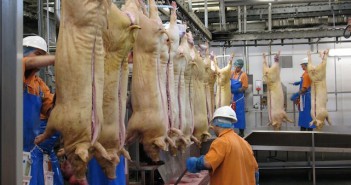 AHDB Pork forecasts increase in UK pig meat production in 2020 abattoir workers