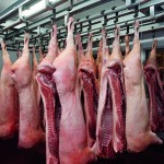 Producer’s share of pork retail price declines shutterstock_649087981