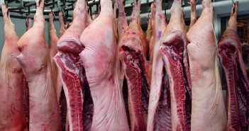 Stronger December figures, but EU exports lower overall in 2017 shutterstock_649087981