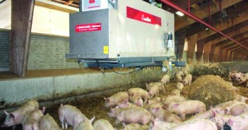 The rise of the robots… well, almost JH Agro’s straw robot, in Denmark