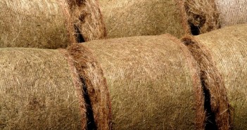 Suppliers confident of fulfilling contracts despite severe straw shortage straw