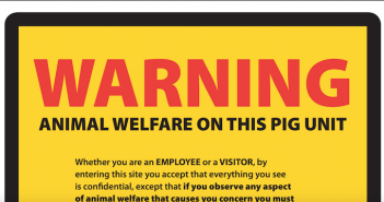 Pig producers urged to sign up to Safecall service Safecall
