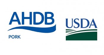 Boost for US pigs keeps the pressure on EU pork exports Print