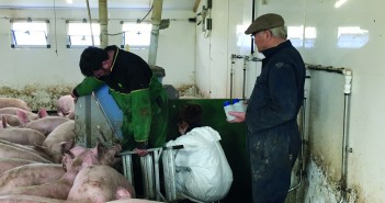 Progressing weaned pig performance Water sampling