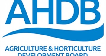 AHDB pig clubs to resume, alongside virtual pig discussion groups ahdb-generic-logo-700-e1504512556144