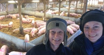 Farming Today shines spotlight on pigs all week FT driffield