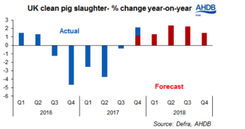 Slaughterings higher than anticipated in Q4- will stronger throughputs continue johnpig