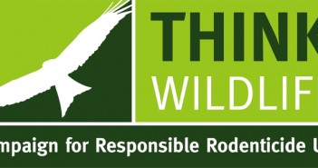 Rats becoming resistant to rodenticides, study finds thinkwildlife