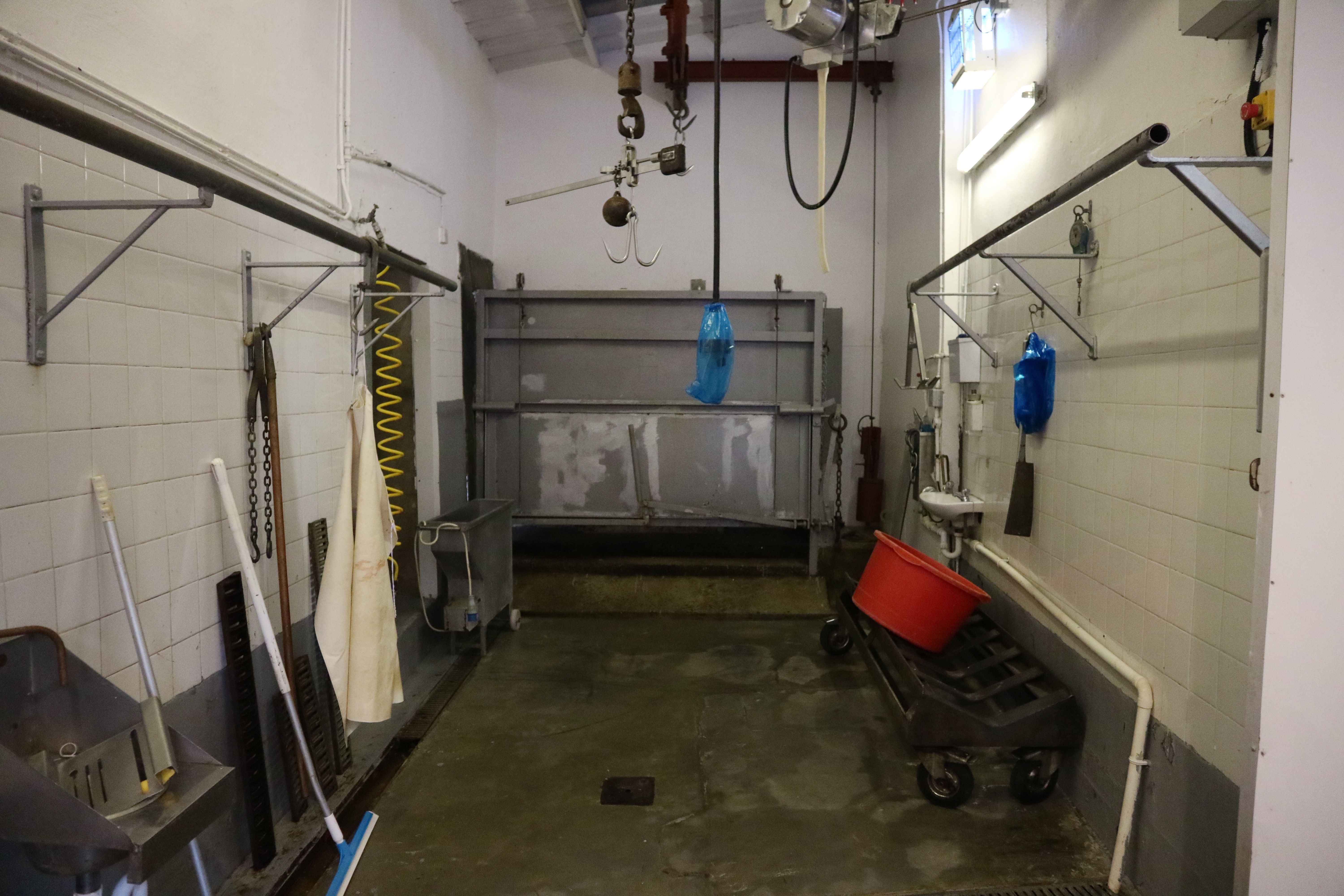 Call for Government to save small abattoirs Pig World