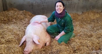 Biosecurity ‘spring clean’ Ciara O'Neill_preview