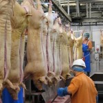 European Commission publishes medium-term outlook for agriculture abattoir-workers-696x336
