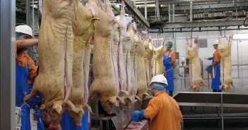 Complaints of poor retail demand continue abattoir-workers-696x336