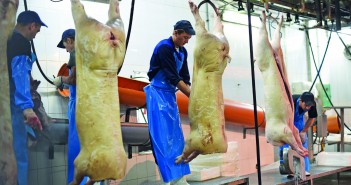 Trading quiet as coronavirus staff issue hit some processors abattoir workers 2