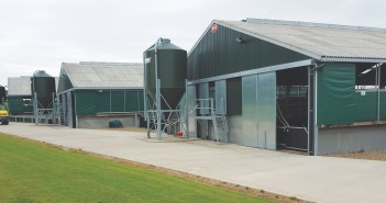 How tax change boost could stimulate building investment Pig building 2