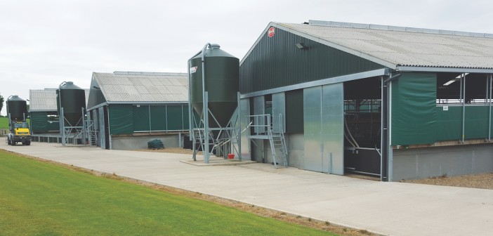 New allowance offers relief for new buildings Pig building 2