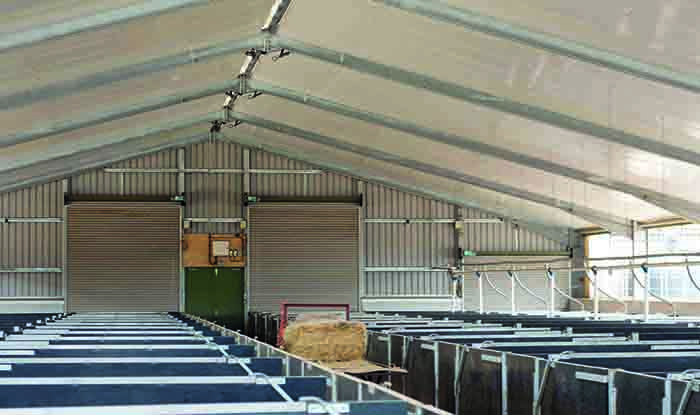 Raising The Roof Pig World