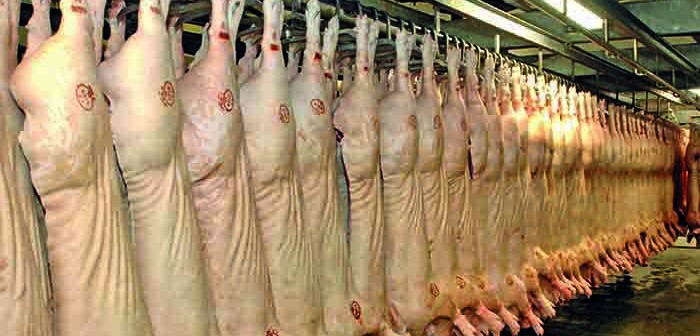 Processor unreliability causes backlogs on farms Abattoir - carcases